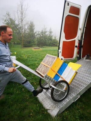 mesilaste transport