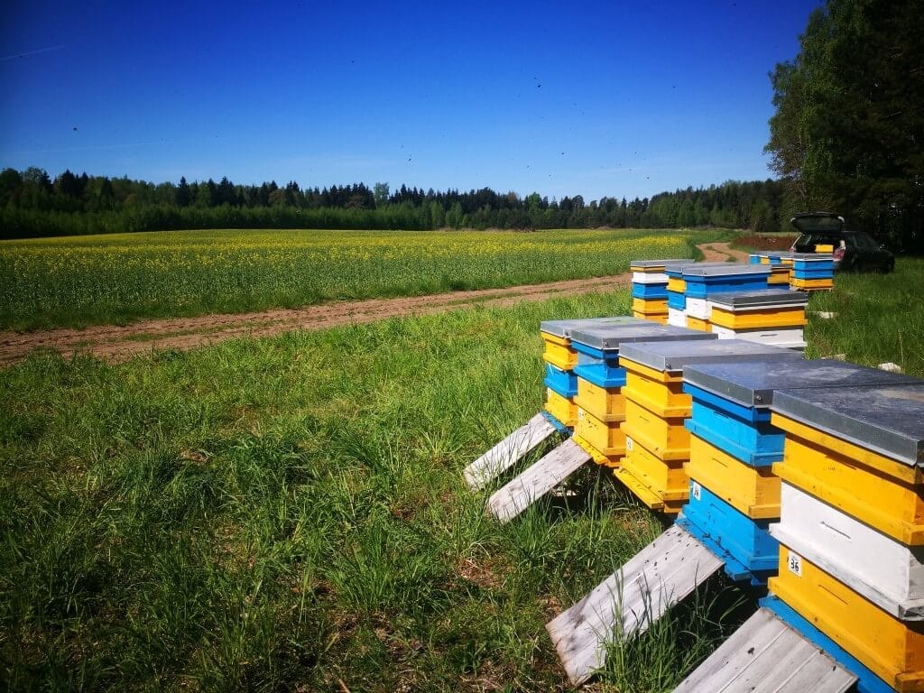 mesilasperede transport