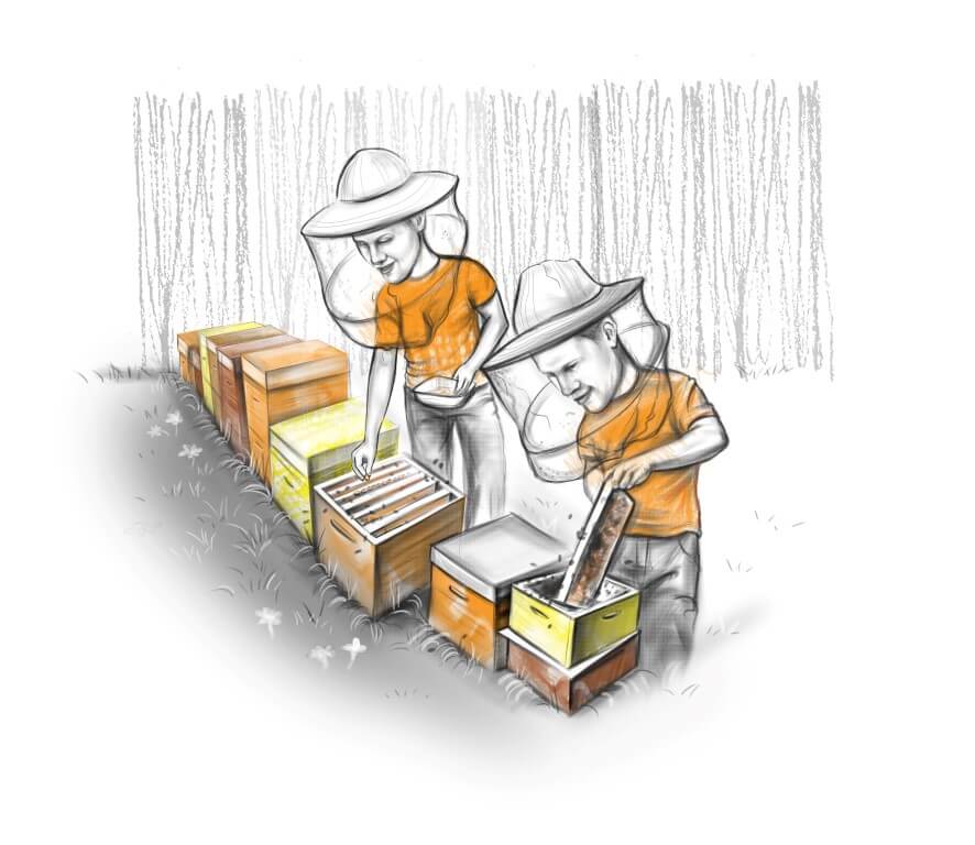 kaks kilo mesilasi mulle, palun.