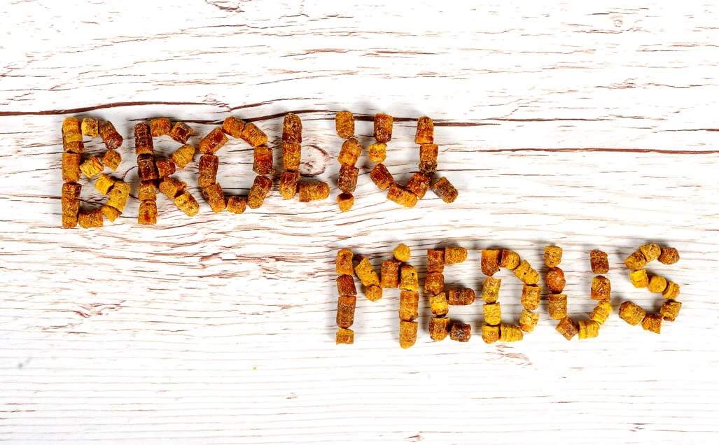 Mesilaste leib ja õietolm. Kuidas kasutada