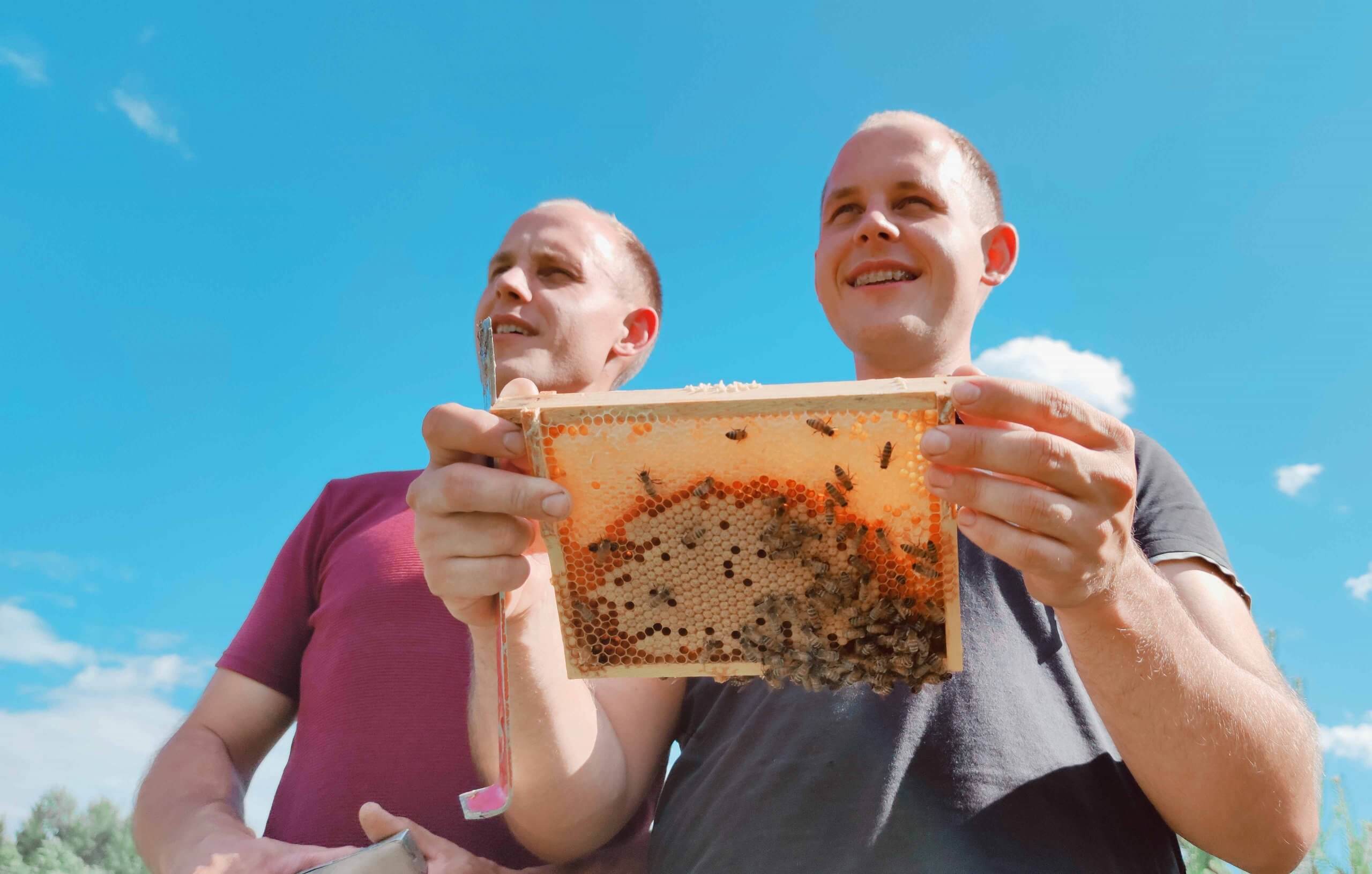 mao-kõrguse-ja-mett