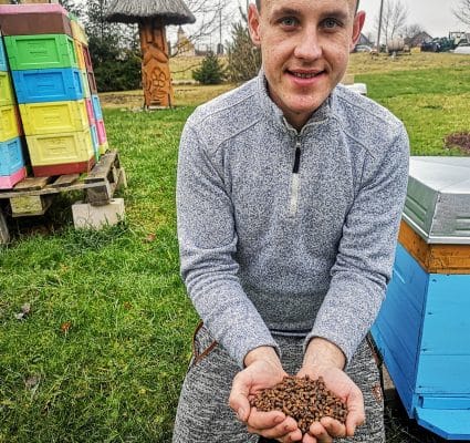 Mesilaste leiva eelised, omadused ja tarbimine 5 Millal süüa mesilaste leiba
