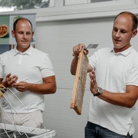 Linnalähedane mesindus