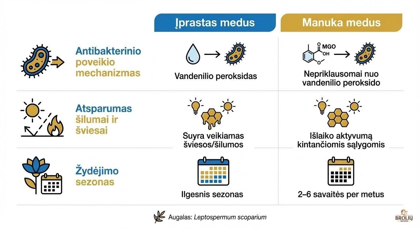 iprastasmedus