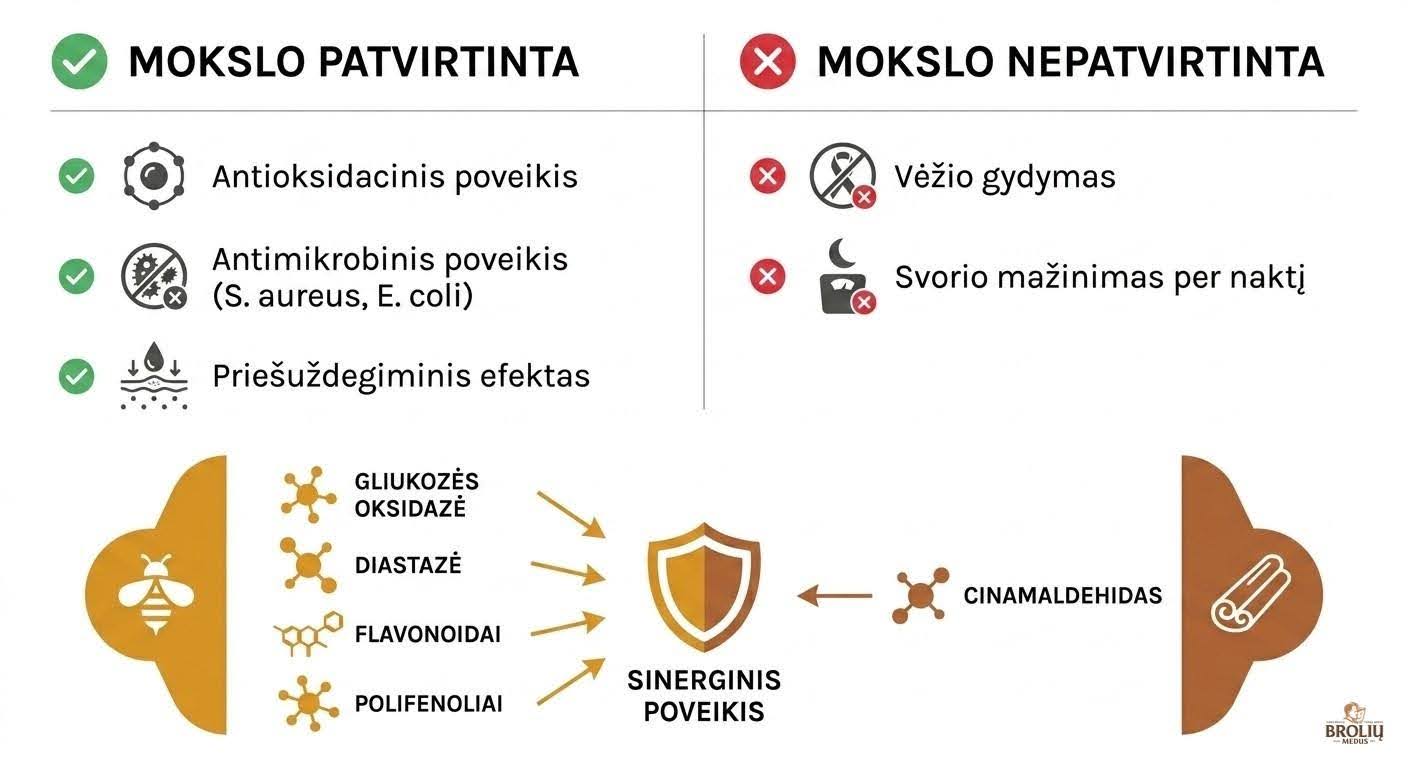 Mesi kaneeliga: kasu, proportsioonid ja kuidas seda ohutult kasutada 2 Teadus