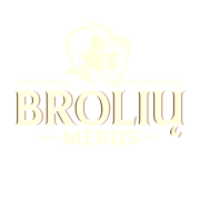Brother-media-logo-sotsiaalmeedia.png